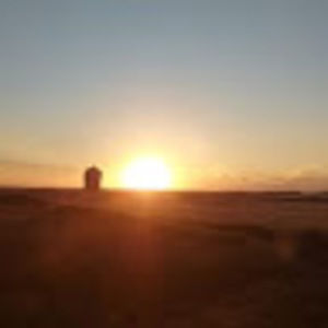 Meet your Posher, Ron & ann